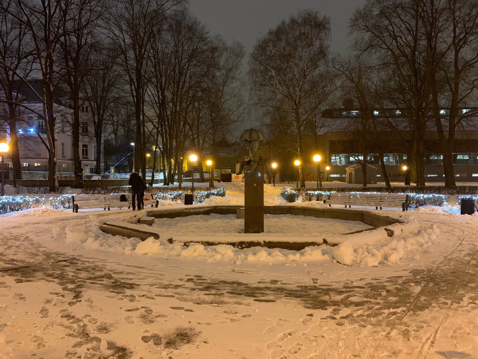 The Canute Garden in Tallinn during the winter